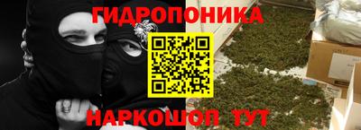 тгк Обь