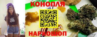тгк Обь